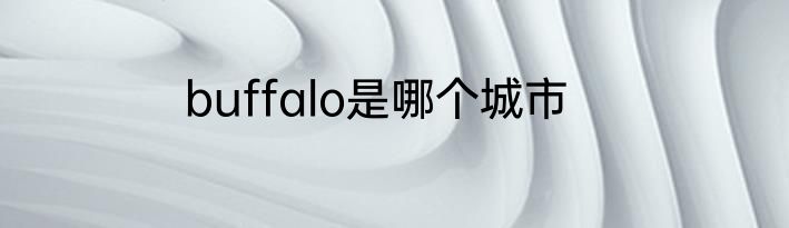 buffalo是哪个城市