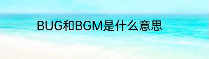 BUG和BGM是什么意思