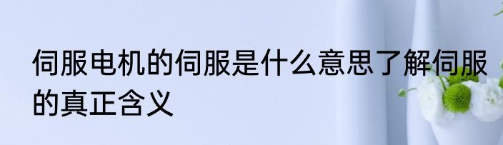 伺服电机的伺服是什么意思了解伺服的真正含义