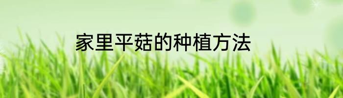 家里平菇的种植方法