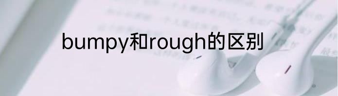 bumpy和rough的区别