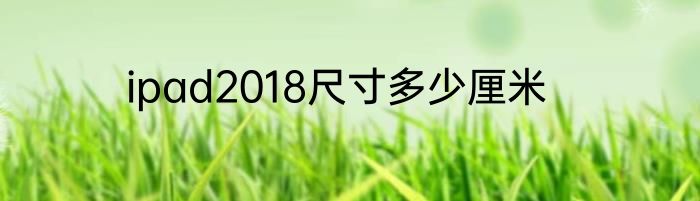 ipad2018尺寸多少厘米