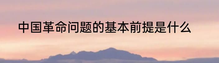 中国革命问题的基本前提是什么