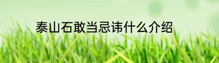 泰山石敢当忌讳什么介绍