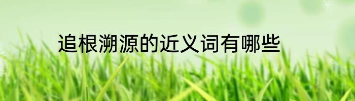 追根溯源的近义词有哪些