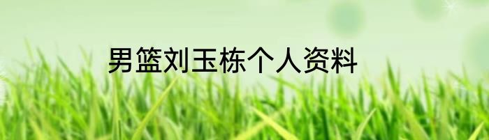 男篮刘玉栋个人资料