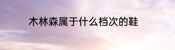 木林森属于什么档次的鞋