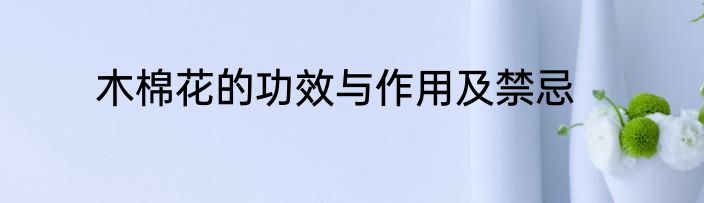 木棉花的功效与作用及禁忌
