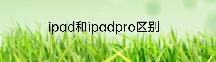 ipad和ipadpro区别