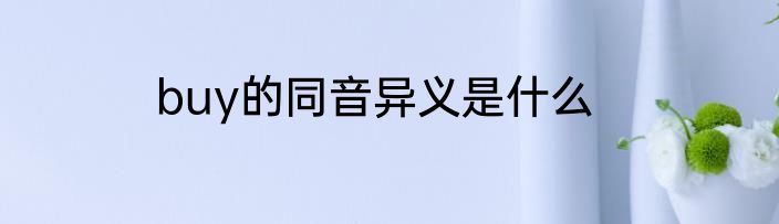 buy的同音异义是什么