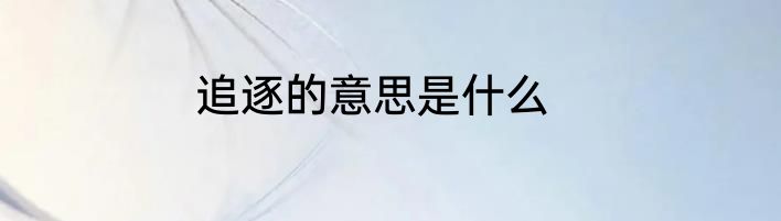 追逐的意思是什么