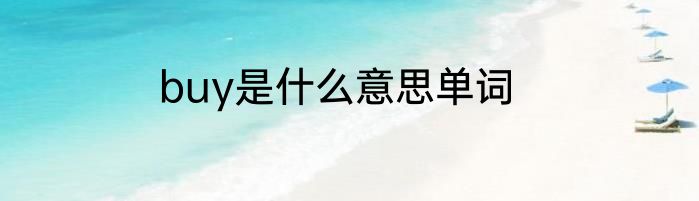 buy是什么意思单词