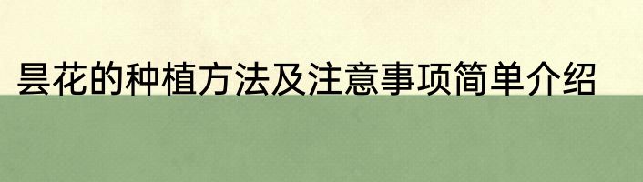昙花的种植方法及注意事项简单介绍