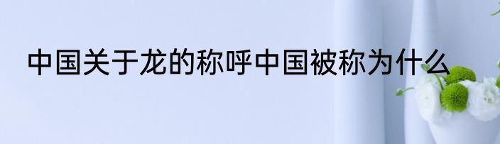 中国关于龙的称呼中国被称为什么