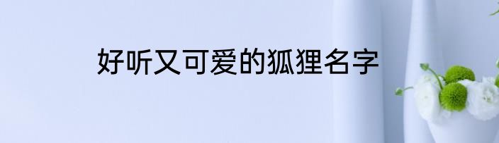好听又可爱的狐狸名字