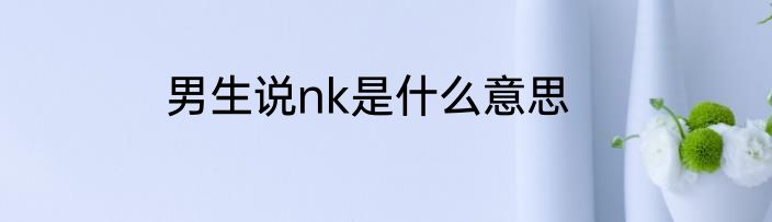 男生说nk是什么意思