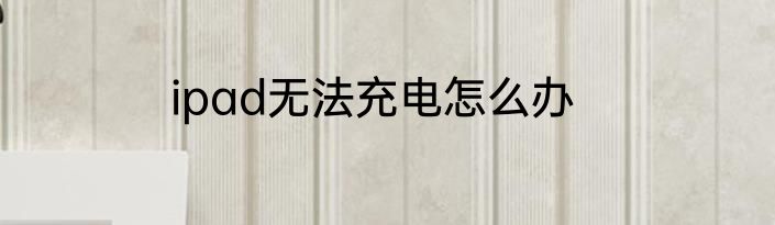 ipad无法充电怎么办