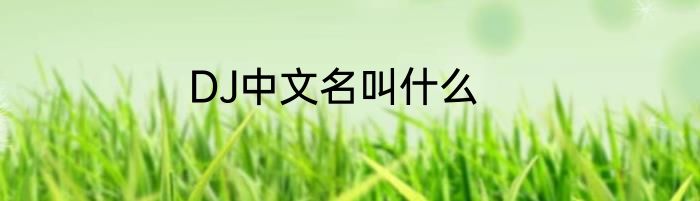 DJ中文名叫什么