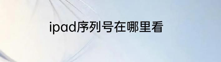 ipad序列号在哪里看