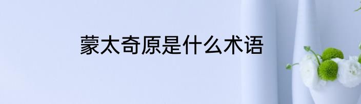 蒙太奇原是什么术语