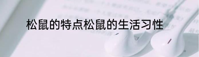 松鼠的特点松鼠的生活习性