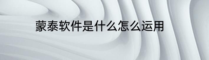 蒙泰软件是什么怎么运用
