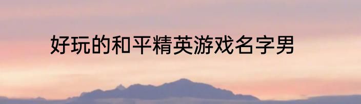 好玩的和平精英游戏名字男