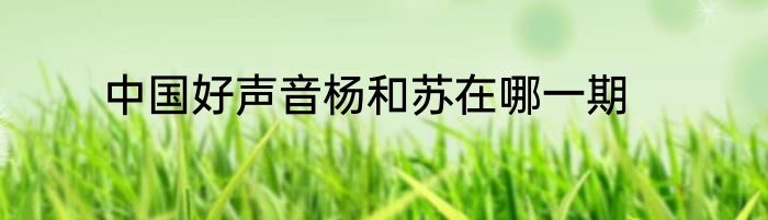 中国好声音杨和苏在哪一期