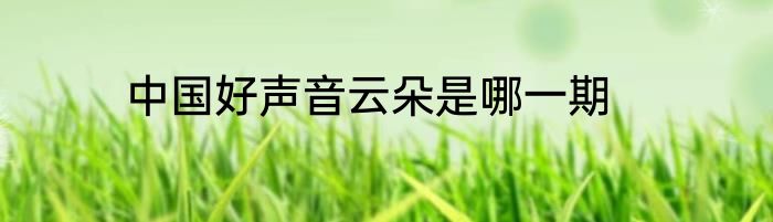中国好声音云朵是哪一期