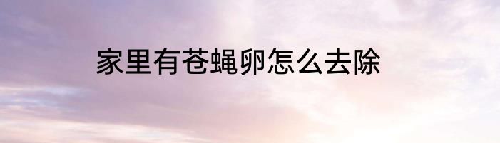 家里有苍蝇卵怎么去除