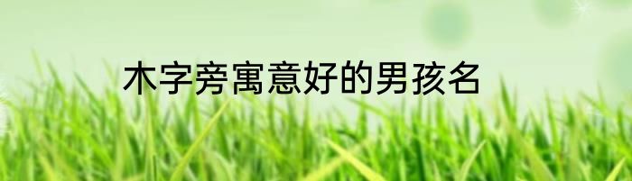 木字旁寓意好的男孩名