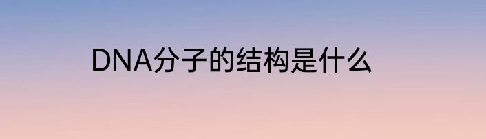 DNA分子的结构是什么