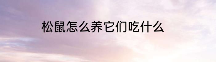 松鼠怎么养它们吃什么