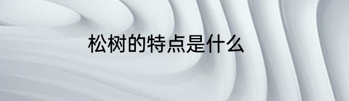 松树的特点是什么