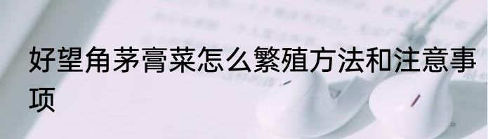 好望角茅膏菜怎么繁殖方法和注意事项