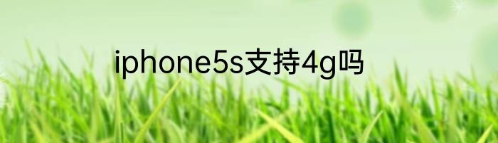 iphone5s支持4g吗