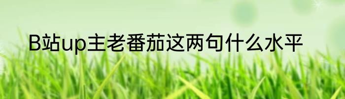B站up主老番茄这两句什么水平