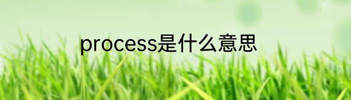 process是什么意思
