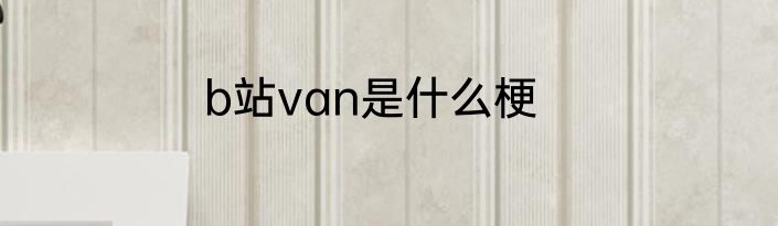 b站van是什么梗