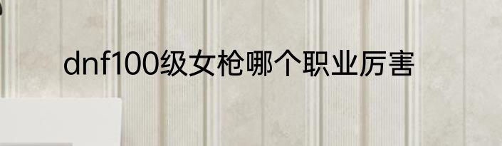 dnf100级女枪哪个职业厉害