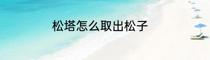 松塔怎么取出松子