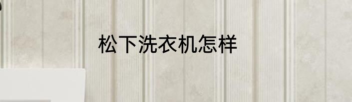 松下洗衣机怎样