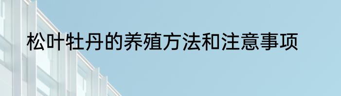 松叶牡丹的养殖方法和注意事项