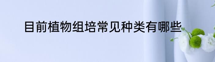 目前植物组培常见种类有哪些