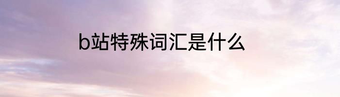 b站特殊词汇是什么
