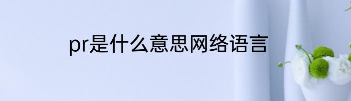 pr是什么意思网络语言