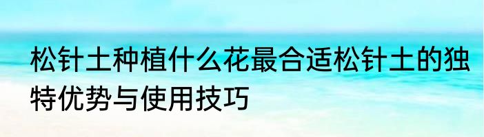 松针土种植什么花最合适松针土的独特优势与使用技巧
