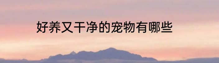 好养又干净的宠物有哪些