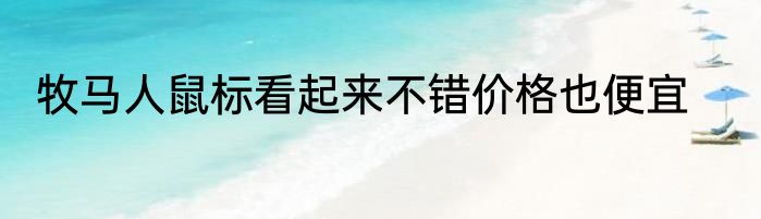牧马人鼠标看起来不错价格也便宜