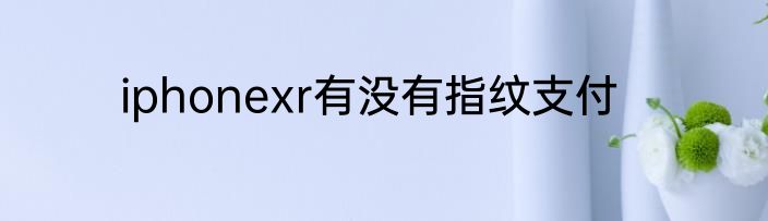 iphonexr有没有指纹支付